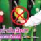 เติมน้ำมันผิด!! เครื่องยนต์จะเป็นยังไง